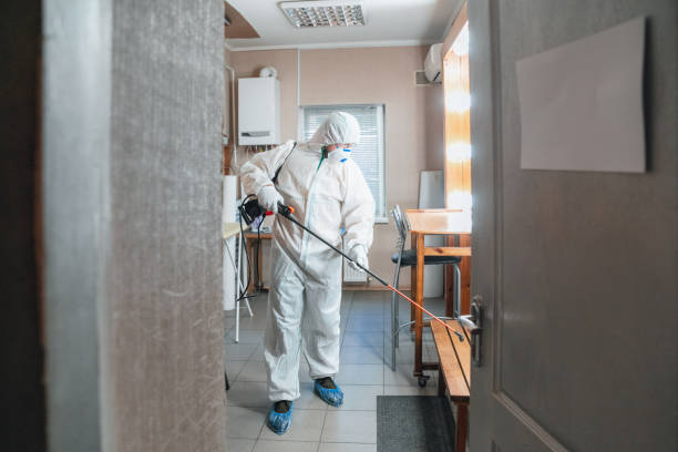 Best Emergency Mold Remediation  in Tutwiler, MS